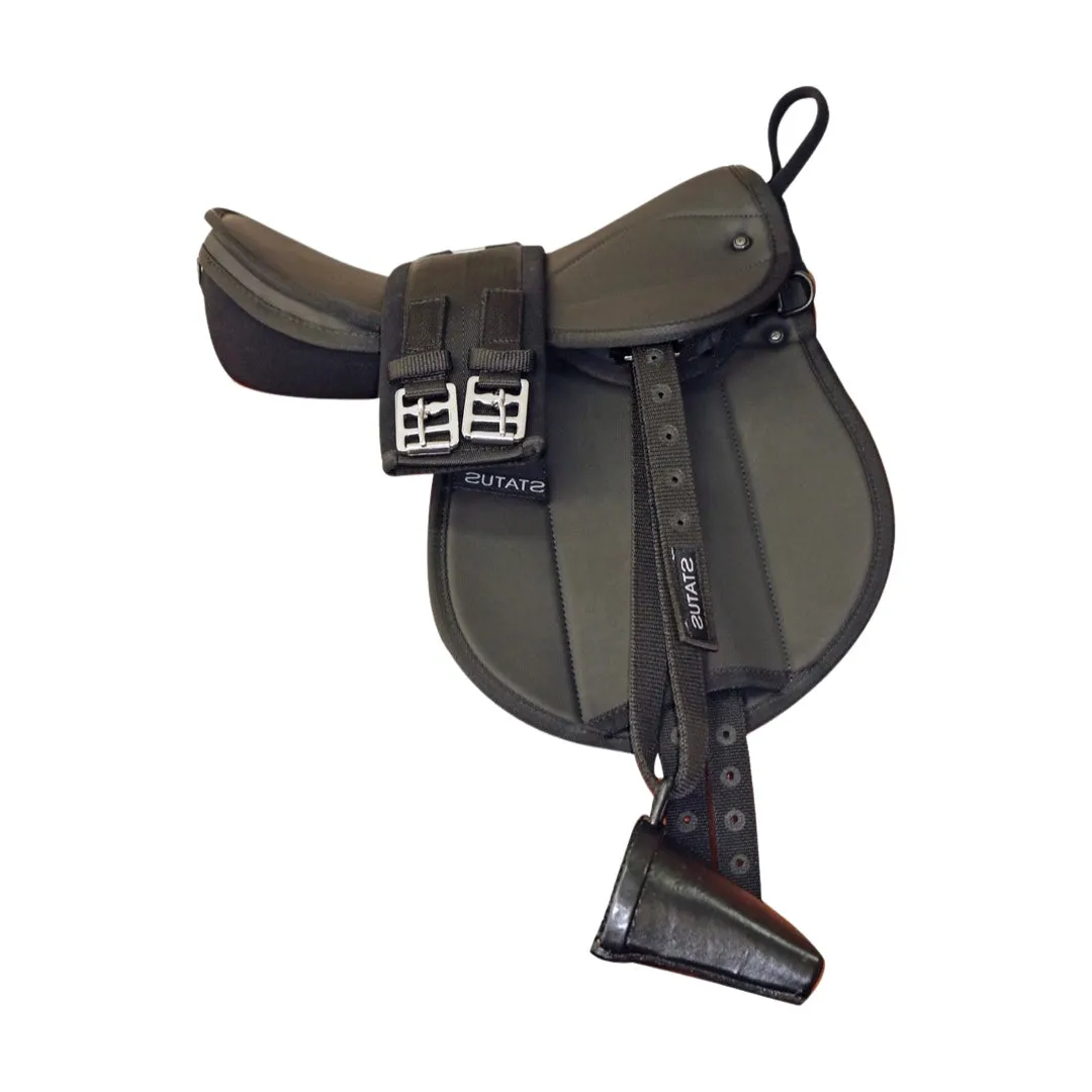 Status Pony Pad Mounted